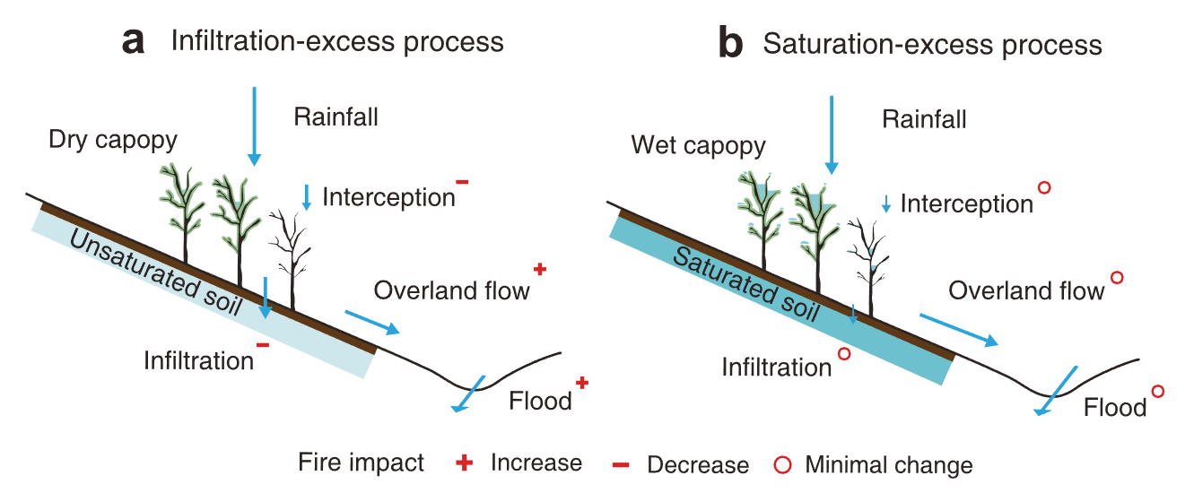 Forest Fire and Flood